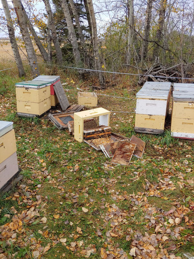 2021 Season photo 60